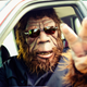 Illustration for article titled The FBI just released its Bigfoot file